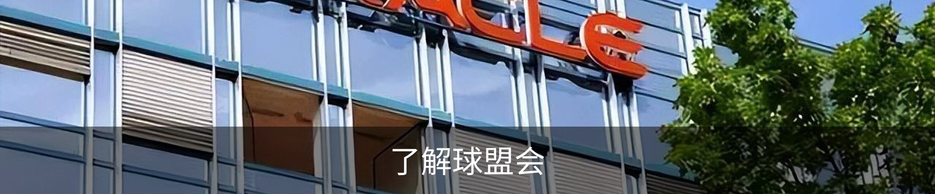 了解球盟会